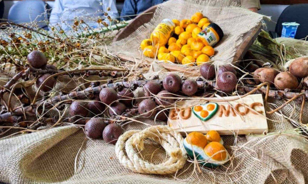 Pequi é o grande homenageado de festival em Montes Claros 