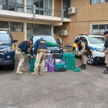 MG: homem é flagrado levando mais de 300 kg de maconha em carro na BR-267 - PRF/Divulgação