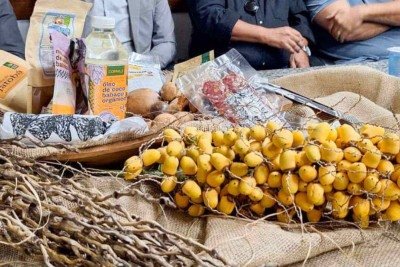 Além do pequi, outros ingredientes típicos do Cerrado -  (crédito: Solon Queiroz/Ascom Prefeitura/Divulgação)