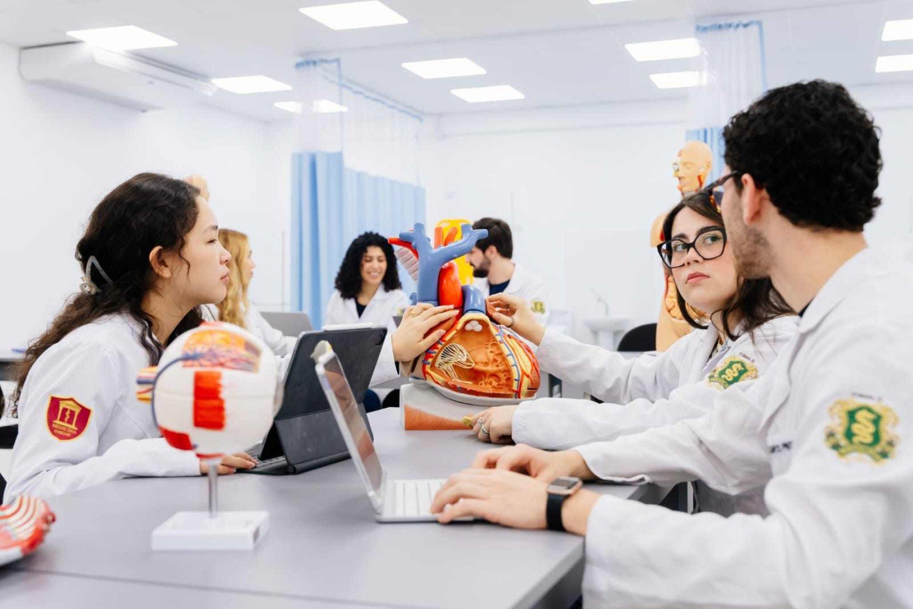 Inscrições para contratar mestres e doutores estão abertas - DINO