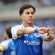 Na Europa são gatinhos; no Brasil, leões - Alexandre Guzanshe/EM/D.A. Press