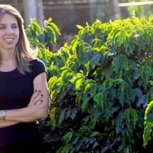 Epamig desenvolve e lança nova cultivar de café arábica