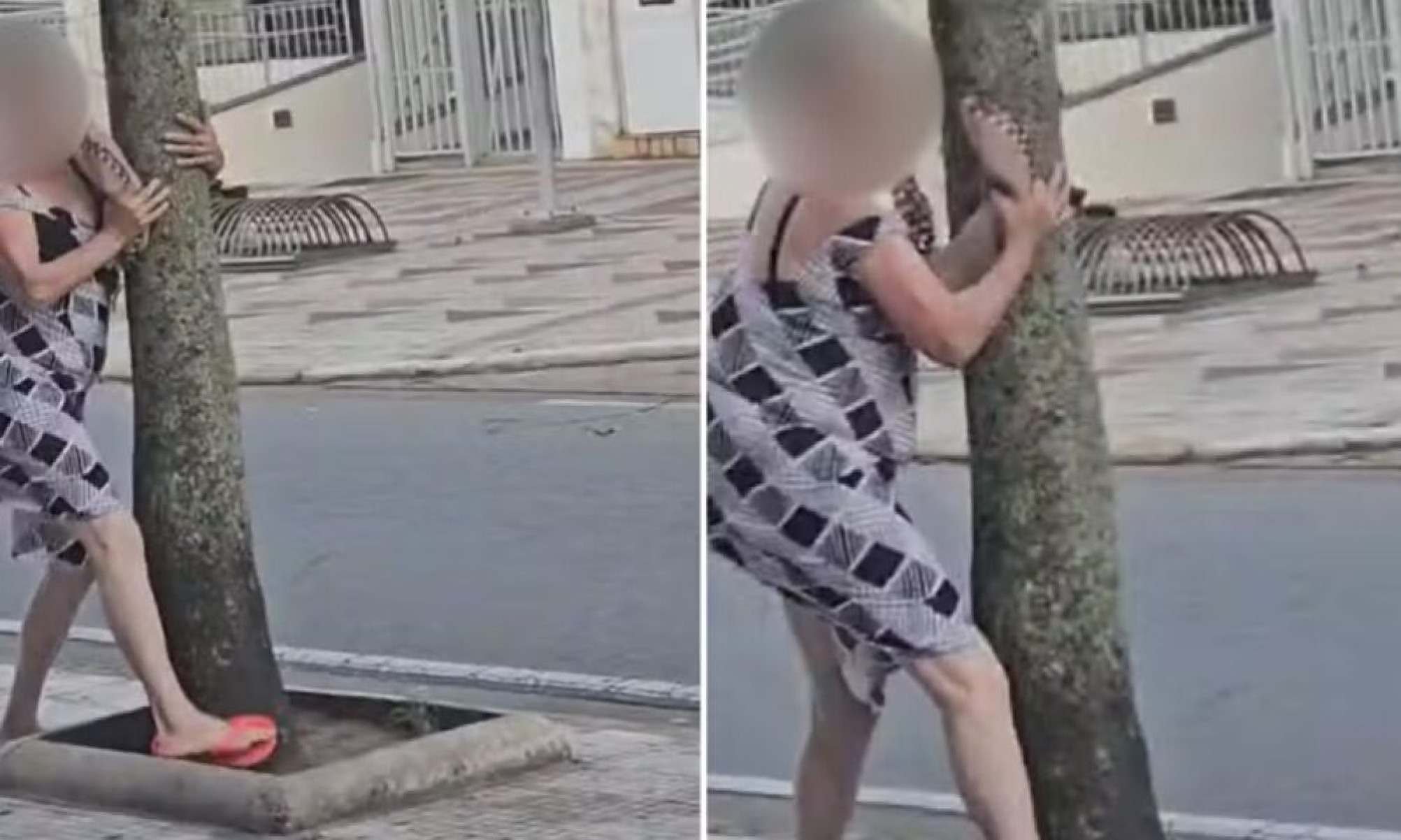 Ventos 'carregam' mulher, que se agarra em árvore, em São Paulo - Tupi