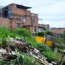 Por que a chegada da chuva traz preocupação também com nuvens de mosquitos? - Leandro Couri/EM/D.A Press