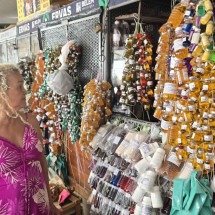 Pedido de Socorro: para que servem as ervas que podem ser banidas na COP30 - Carlos Altman/EM