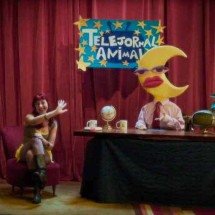 Clara Bicho lança hoje o single ‘Telejornal animal’ - Pedro Milagres/Divulgação 