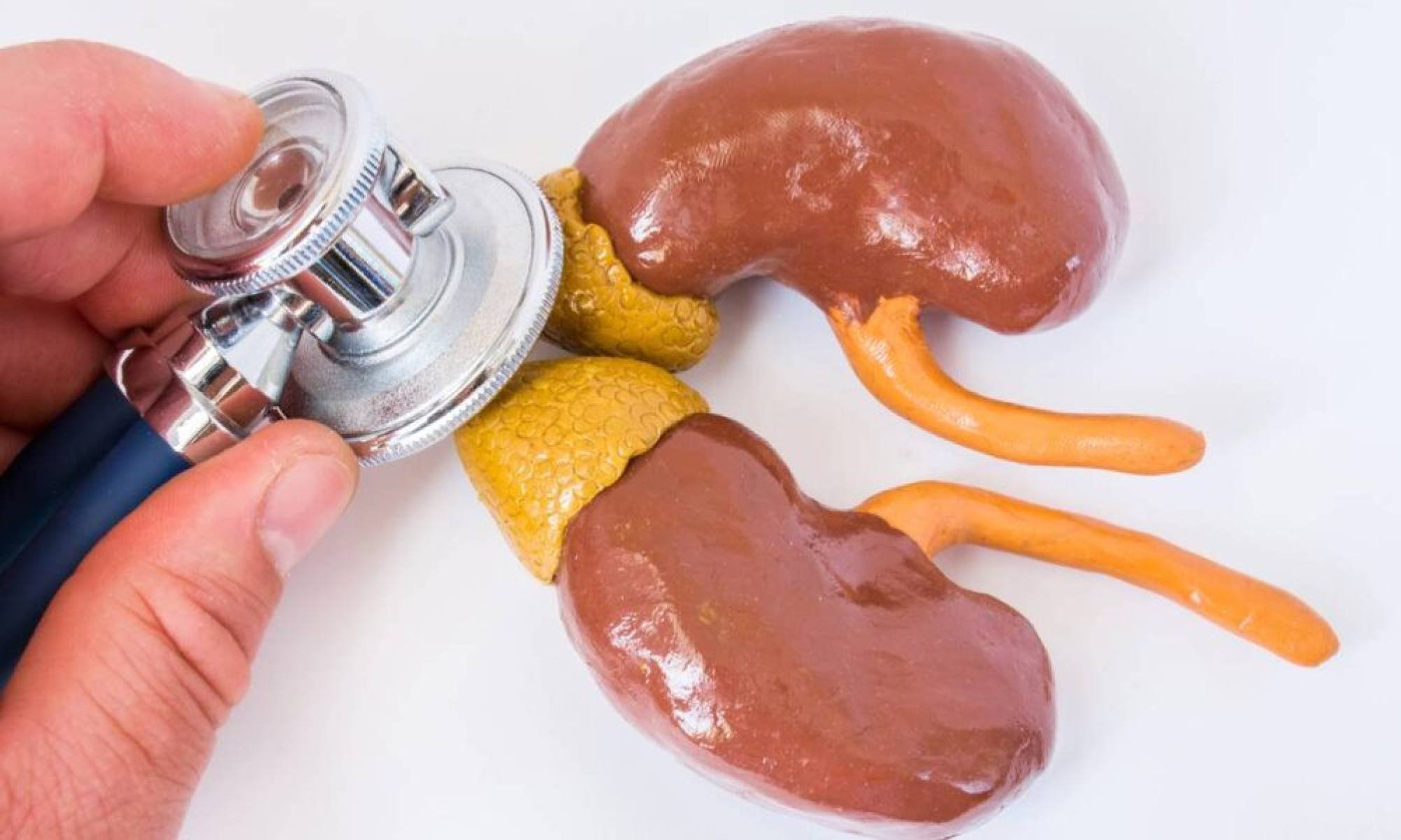 Por que o cortisol virou o novo vilão da saúde moderna e está sabotando seu bem-estar - Tupi