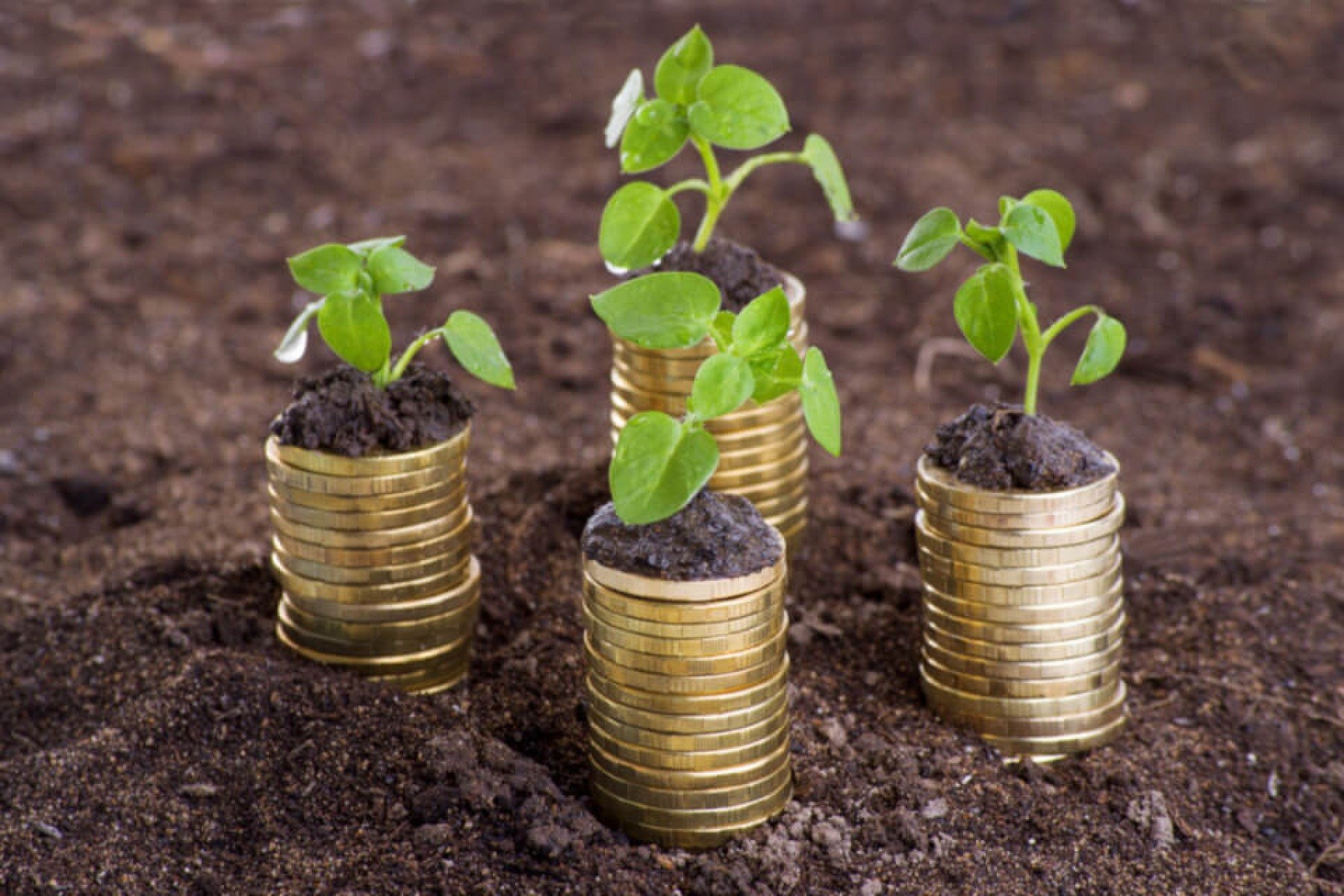 Banho para atrair prosperidade financeira: transforme a sua vida! - Wemystic