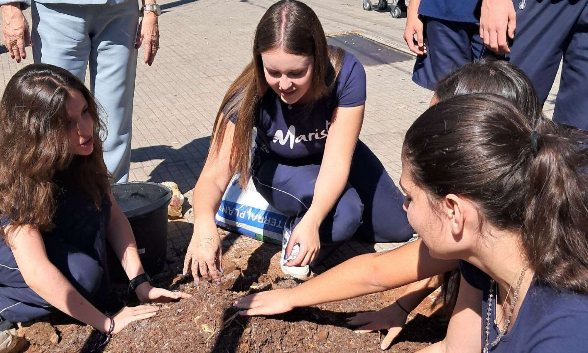Alunos do Colégio Marista, realizaram plantio de árvores nativas e distribuíram panfletos sobre arborização urbana à comunidade local