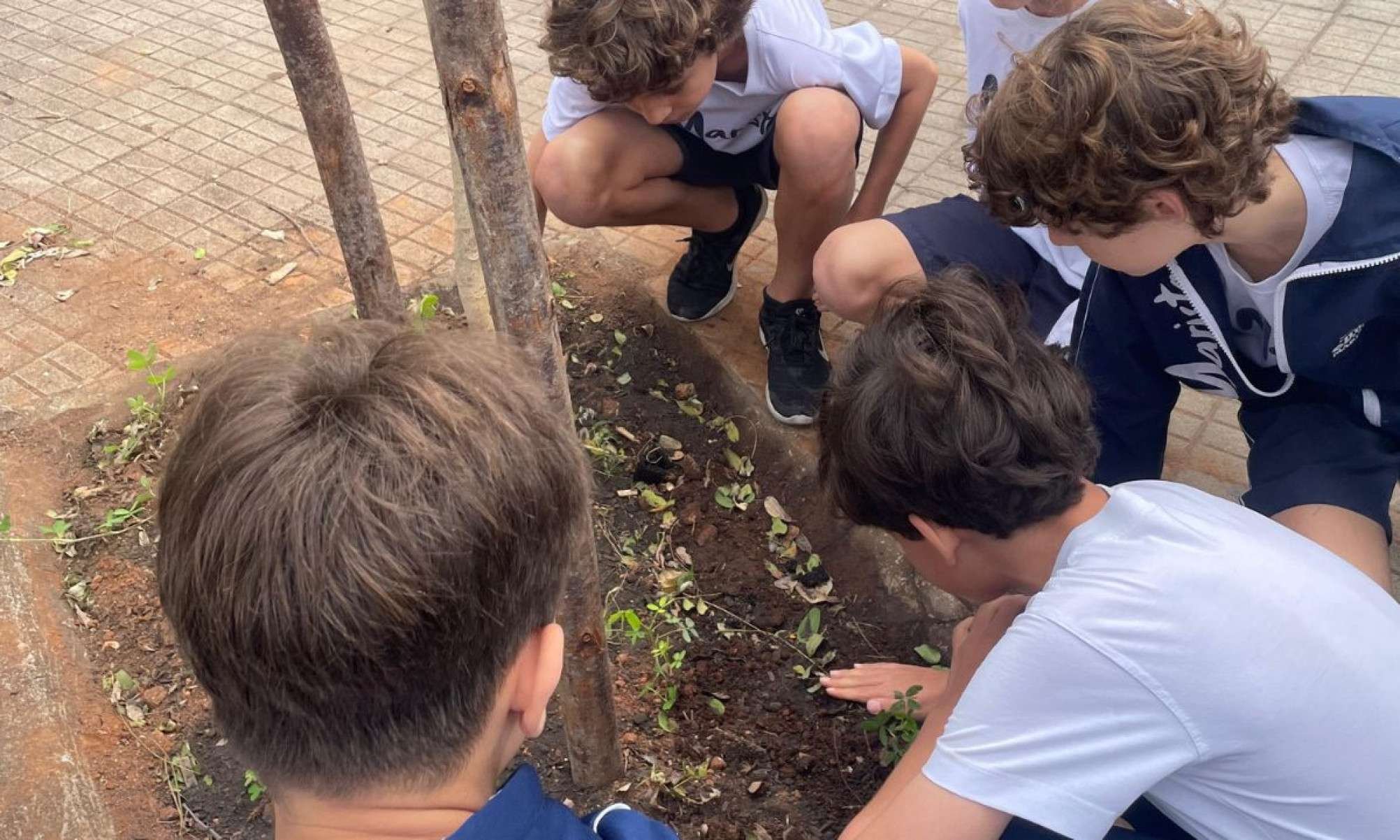 Projeto de coleta seletiva e compostagem envolve estudantes e parceria com associação de catadores para promover reciclagem e consciência ambiental