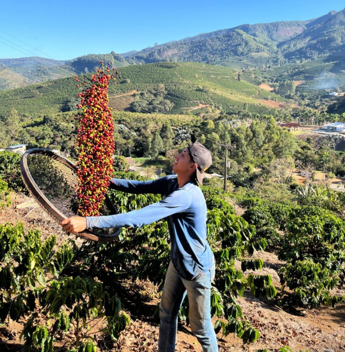 Sítio localizado em Espera Feliz (MG) produz cafés especiais desde 2006