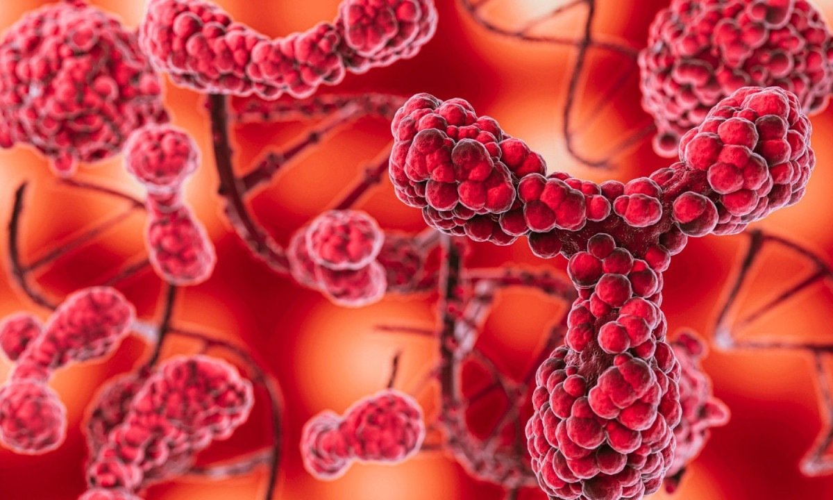 ANS avalia inclusão de tratamento para mielofibrose no rol -  (crédito: DINO)