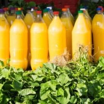 Sabores do Pará: 5 ingredientes com nomes indígenas que você precisa provar - iStock