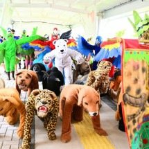 Bicharada ou vergonha? Tradição paraense rastejante expõe choque cultural  - Prefeitura de Cometá/Divulgação