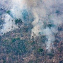 COP30 traz alerta para doenças respiratórias agravadas por poluição do ar - Washington Fidelis/InfoAmazonia