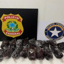 Adolescente é apreendido no Aeroporto de Confins com 19 quilos de haxixe - PF