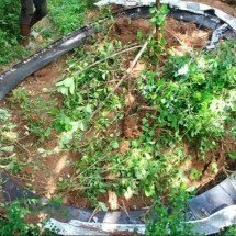 Pra quem não viu: ‘Anel’ de 500 kg cai do espaço em cima de um vilarejo no Quênia - Reprodução/Citizen TV