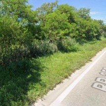 Polícia investiga se ossada encontrada é de jovem desaparecido em MG - Reprodução/Google Street View