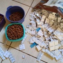 Operação contra falsificação de medicamentos prende quatro em Minas - MPMG