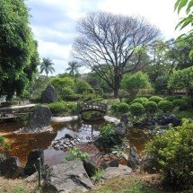 Chimpanzé 'Kely' morre no Zoológico de BH um dia após morte de leoa - Leandro Couri / E.M/D.A Press