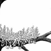 Ninho -  (crédito: Quinho)