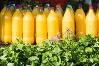 Sabores do Pará: 5 ingredientes com nomes indígenas que você precisa provar