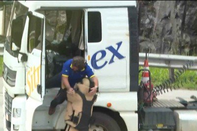 Situação gerou medo no Rodoanel, em São Paulo; motorista foi socorrido depois de desmaiar  -  (crédito: Reprodução de vídeo/TV Globo)