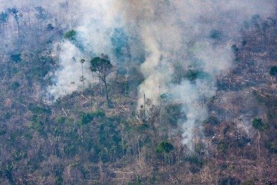 A fumaça das queimadas diminui a capacidade de defesa do corpo, permitindo que o vírus encontre terreno para causar quadros mais longos -  (crédito: Washington Fidelis/InfoAmazonia)