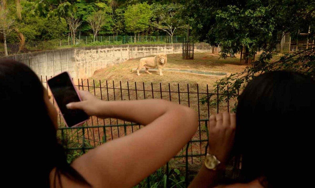 Zoológico em Crise: Mortes Suspeitas e Investigação Abalam Belo Horizonte