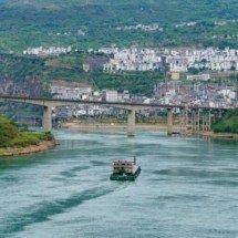 Cientistas descobrem nova espécie de peixe gigante predador - ?? ?/Unsplash
