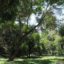 Justiça suspende licenciamentos ambientais em BH - Jair Amaral / EM/D.A Press