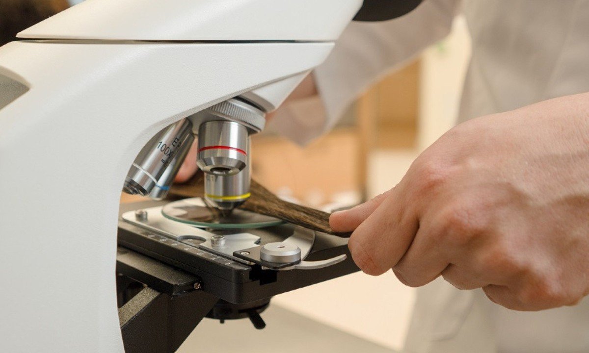 Canetas emagrecedoras entram no centro do debate cient&iacute;fico 
