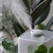 5 dicas práticas para melhorar a umidade do ar dentro de casa já - dimaberlinphotos