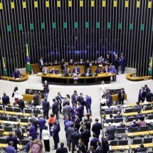 Um momento de razão no Legislativo brasileiro - Mário Agra/Câmara dos Deputados – 2/8/24