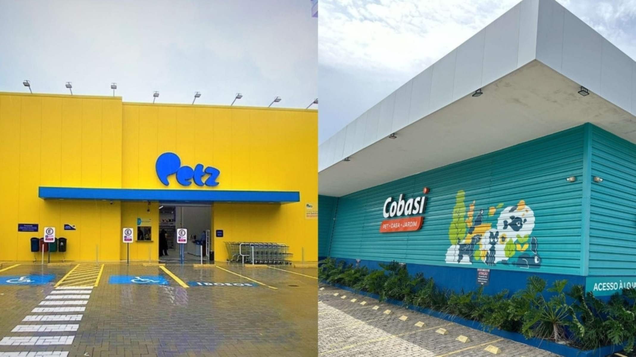 As queixas generalizadas ao Cade sobre desequilíbrio na fusão Petz-Cobasi - Platobr Economia