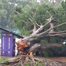 Chuva deixa feridos, provoca alagamentos e corta energia em cidade de MG - Divulgação
