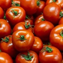 Por que os tomates italianos são referência mundial: tipos e tradição - freepik