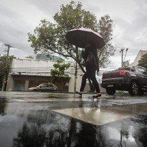 BH está em alerta para pancadas de chuva neste domingo (16/11) - Leandro Couri/EM/D.A Press