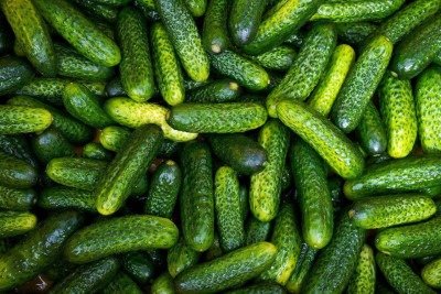 O pepino, um dos vegetais mais consumidos ao redor do mundo, destaca-se por suas inúmeras propriedades nutricionais e benefícios à saúde. Composto por cerca de 95% de água, ele é uma excelente opção para quem busca uma alimentação saudável, refrescante e de baixo valor calórico. -  (crédito: Imagem de Lukáš Jan?i?ka por Pixabay

)