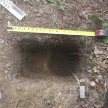 Arqueólogos encontram depósito de comida de povos antigos - Divulgação/Alaska Public Media/Base Conjunta Elmendorf-Richardson (JBER)