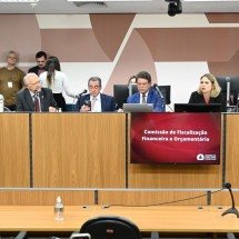 ALMG adia análise e amplia pressão para reduzir lista de imóveis do Propag - Ramon Bitencourt/ALMG