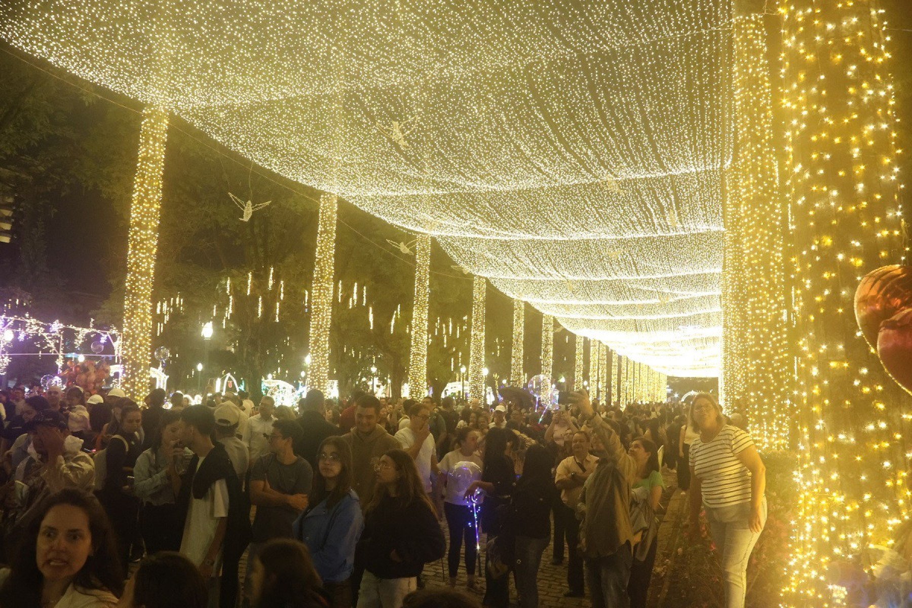 Grande público se concentrou na Alameda da Praça da Liberdade para acompanhar a cerimônia
      -Marcos Vieira/EM/D.A.Press