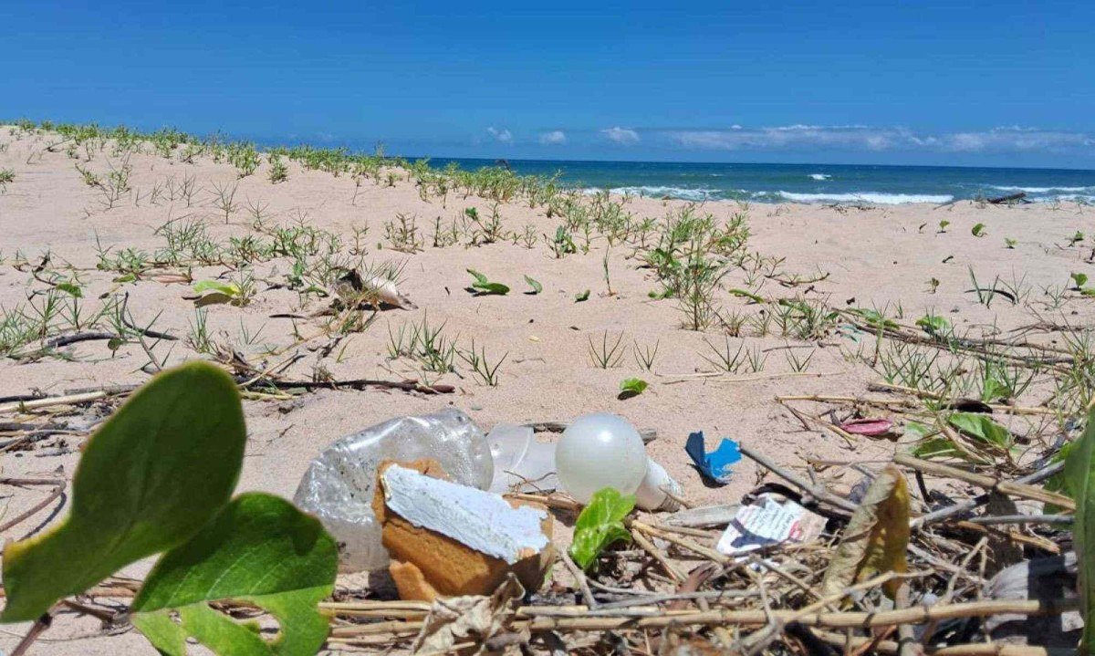 Praia na Bahia com lixo deixado na areia por turistas descuidados com o dever de preservar o local que visitam -  (crédito: Luciana Atheniense/EM/DA News)