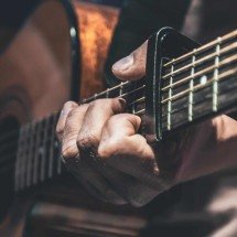 Festival da Jabuticaba: confira a programação completa de shows  - Imagem: Freepik/Divulgação