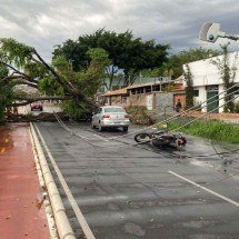 BH: queda de árvore e de postes no Castelo deixa 250 imóveis sem energia - Reprodu&ccedil;&atilde;o CBMMG