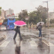 Chove em regiões de BH nesta terça-feira (18/11) - Jair Amaral/EM/D.A.Press