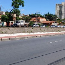 Depois de 17h, PBH retira árvore caída no Castelo; via segue interditada - Cedidas ao Estado de Minas