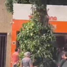 Vídeo: incêndio atinge lanchonete no Centro de BH - Divulgação/CBMMG