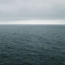 Desconhecidos e curiosos: peixes que habitam as profundezas dos oceanos - jjm596 wikimedia commons 