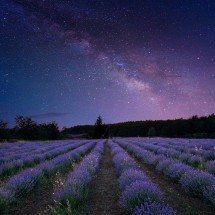 O que os astros ‘mostram’ sobre cada signo - John Nature Photos pixabay